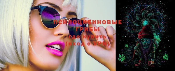 индика Инсар