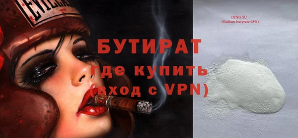 индика Инсар