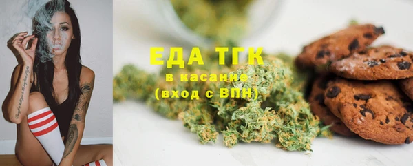 индика Инсар