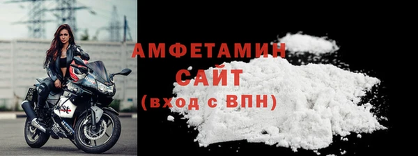 индика Инсар