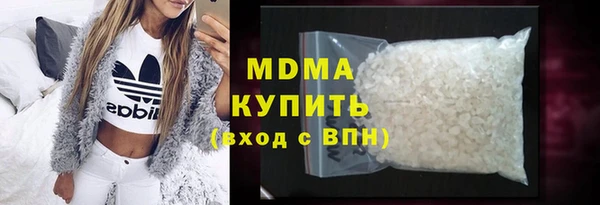 индика Инсар