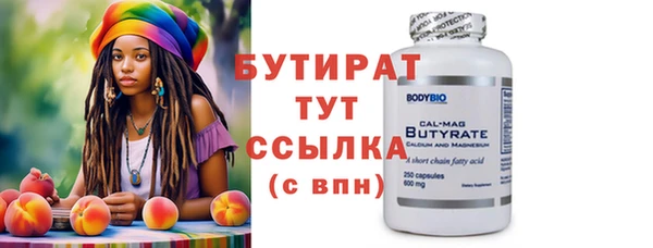 индика Инсар