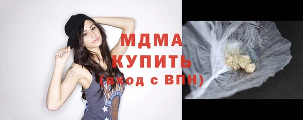 индика Инсар