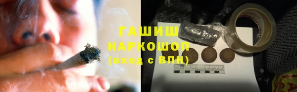 индика Инсар