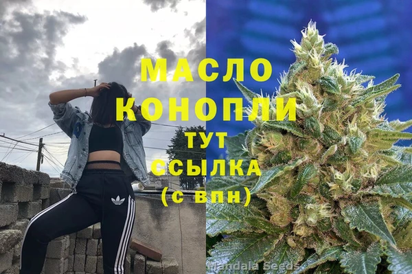 дживик Каменка