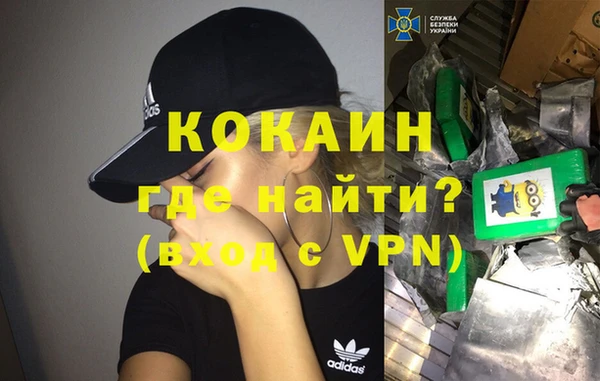 стаф Каменногорск