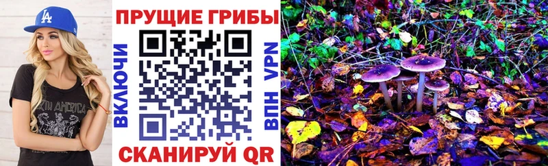 Псилоцибиновые грибы Psilocybine cubensis  МЕГА сайт  Камышин 